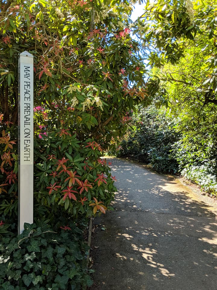 31531861_10157682552923508_8273107477482962944_n (1)