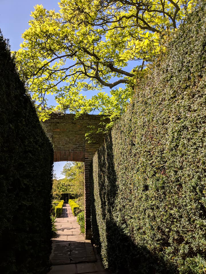 31944947_10157672556508508_9159078966298935296_n