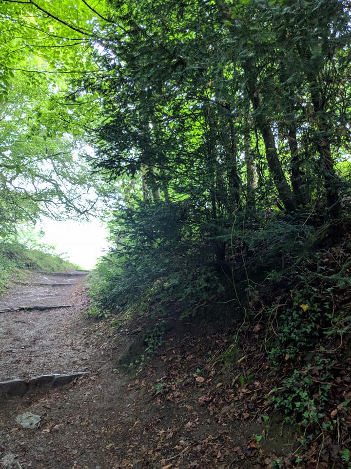 33397533_10157740782383508_9191189486128594944_n (1)